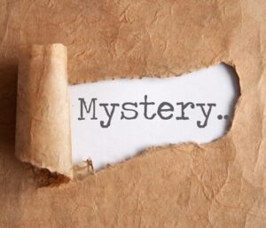143 NYT Bestselling Mystery Books